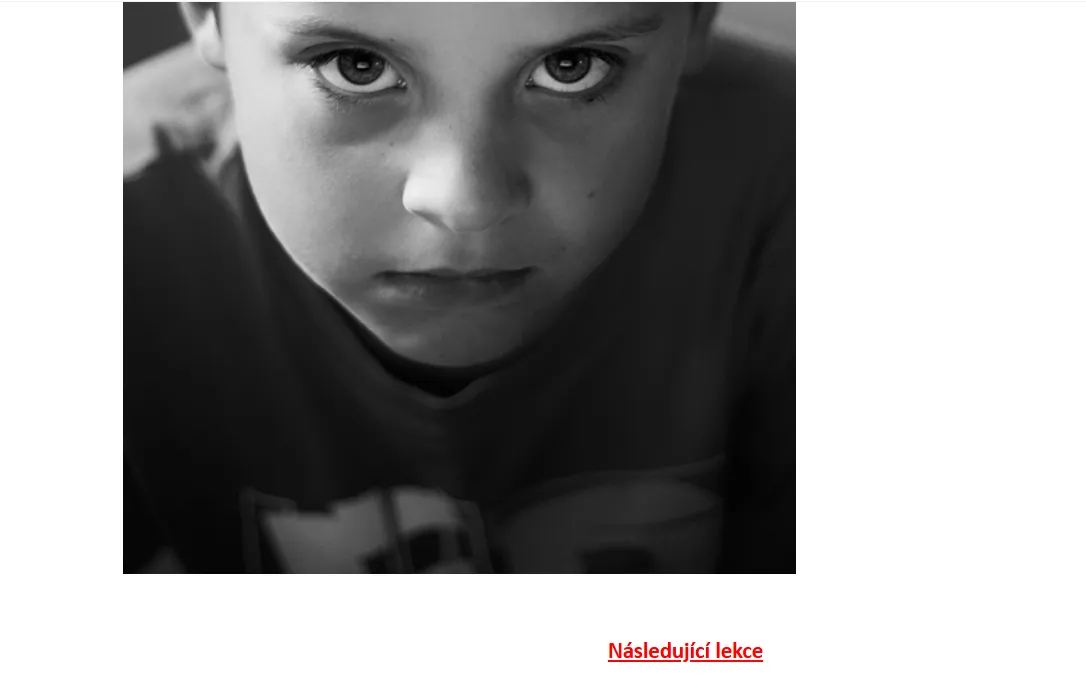 Převod fotografie nebo obrázku do animovaného stylu
